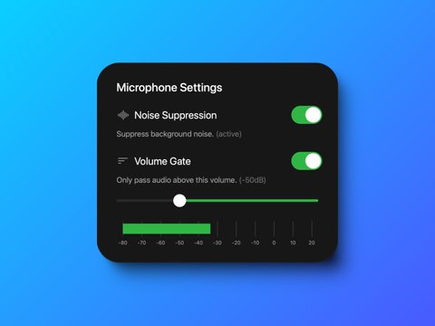 Advanced Microphone Settings